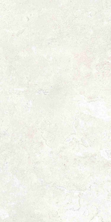 Petra Viva Bone Matte 12 x 24